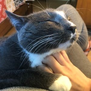 Meet your Posher, Jill